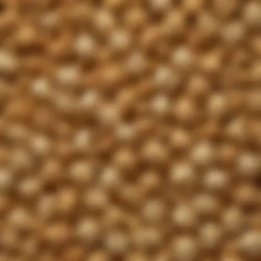 Popcorn and Peanut Butter Close-Up A close-up of popcorn drizzled with creamy peanut butter, showcasing the texture.