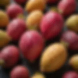 A vibrant display of prickly pear fruits showcasing their unique colors and textures.