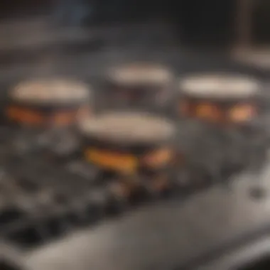 Maintenance tips for prolonging grill burner lifespan