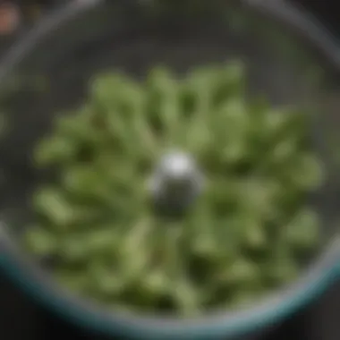 Close-up of fresh greens being dried in a salad spinner