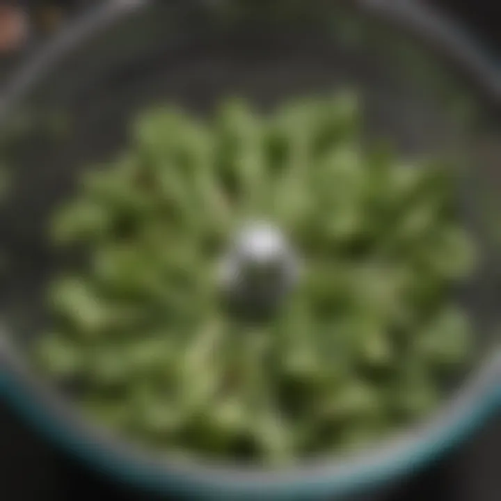 Close-up of fresh greens being dried in a salad spinner