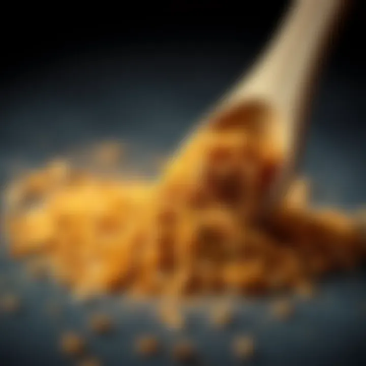 Notable Exploring Spice House Taco Seasoning in Culinary Applications