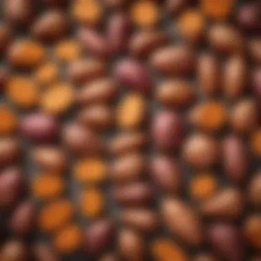 Diverse Sweet Potato Varieties A vibrant assortment of sweet potato varieties