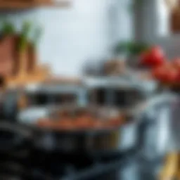 Exploring the All-Clad D5 Brushed Cookware Set Introduction