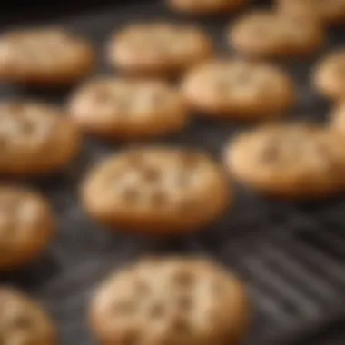 An array of fresh, golden brown chocolate chip cookies on a cooling rack