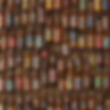 Diverse Flavors of Alcohol-Free Beer Variety of flavors in alcohol-free beer