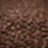 A close-up of coffee beans showcasing different origins