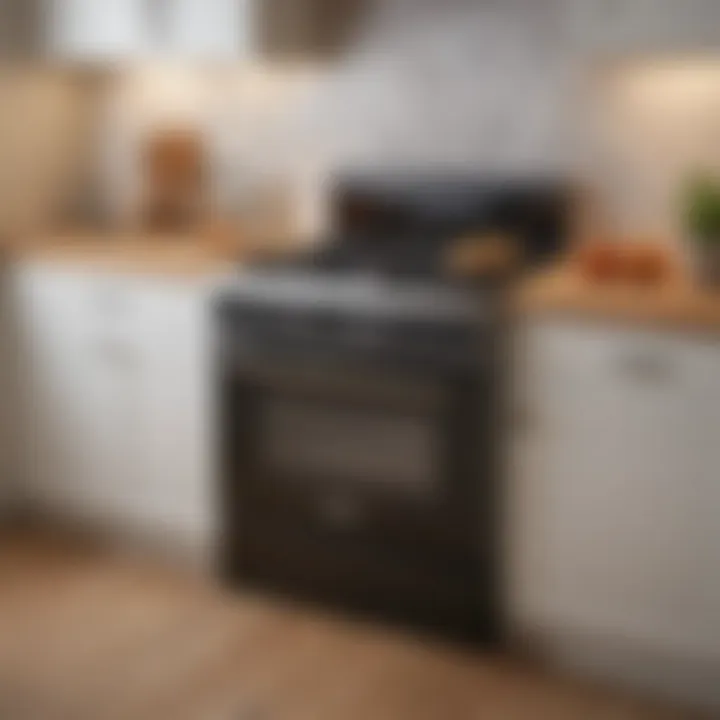 Compact small gas range showcased in an elegant kitchen