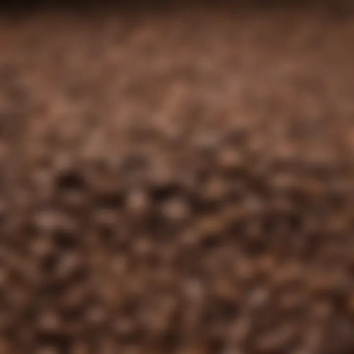 A close-up of freshly roasted coffee beans