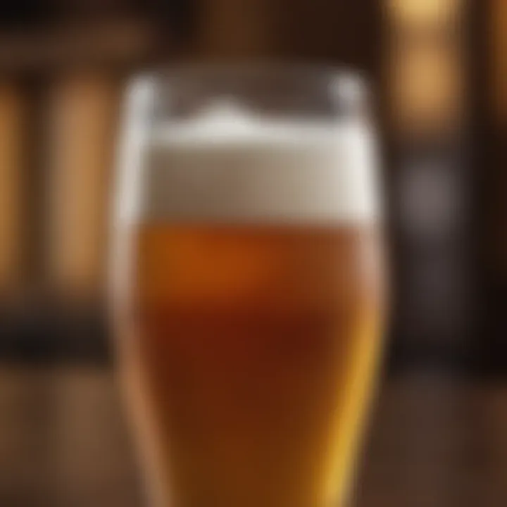 Close-up of a frothy glass of craft beer with rich colors