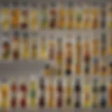 A collection of various jaitun oil bottles showcasing different types and flavors.