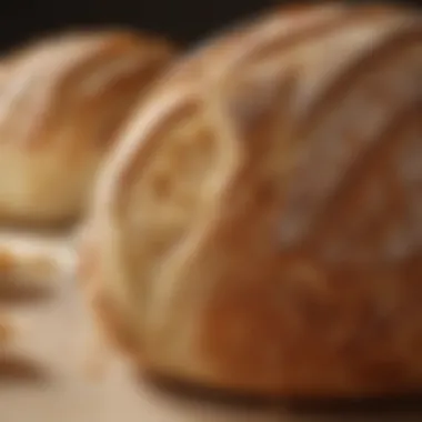 A close-up of the airy texture inside Panera sourdough