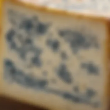 A close-up view of blue cheese with its distinctive veins.