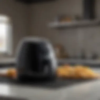 Exploring the Ninja DZ100 Air Fryer: Comprehensive Insights Introduction Exploring the Ninja DZ100 Air Fryer: Comprehensive Insights Introduction