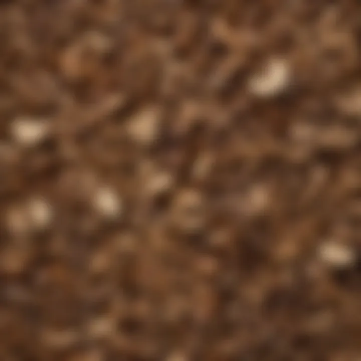 An assortment of dried mushrooms with a focus on texture