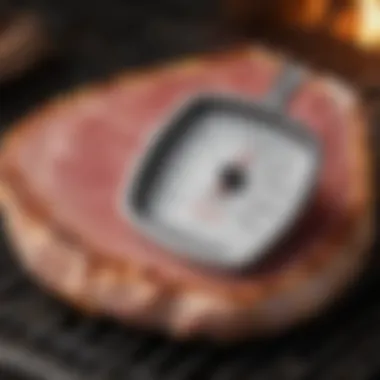 Checking Ideal Temperature Thermometer inserted in pork chop showing ideal temperature