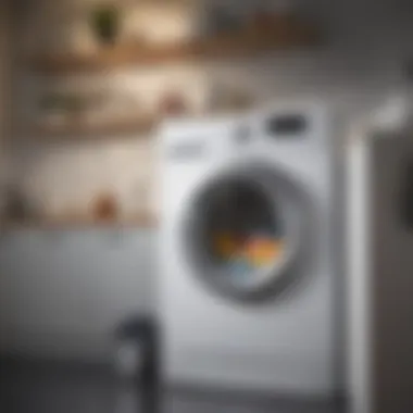 Overview of a Clean Washing Machine Interior Clean washing machine interior