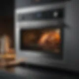 A sleek countertop convection oven showcasing its modern design.