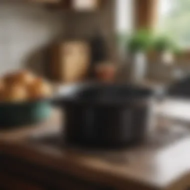 A well-maintained Lodge enamel cast iron pot on a kitchen counter