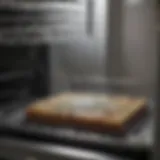 Close-up of mold inside a dishwasher