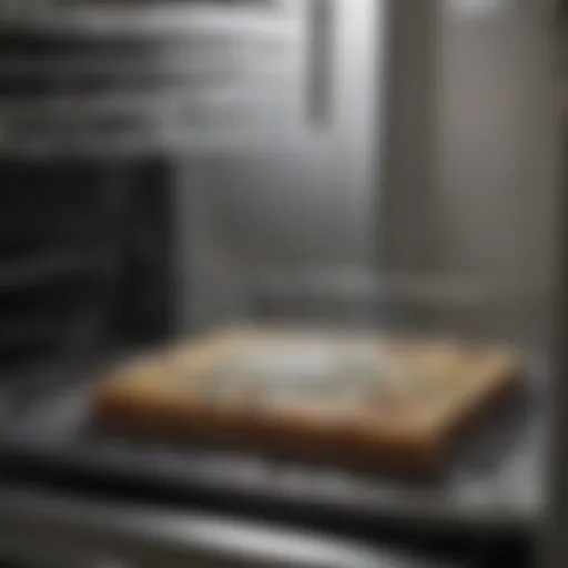 Close-up of mold inside a dishwasher