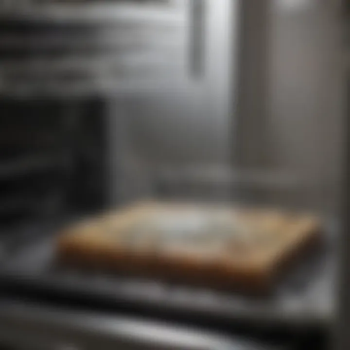 Close-up of mold inside a dishwasher