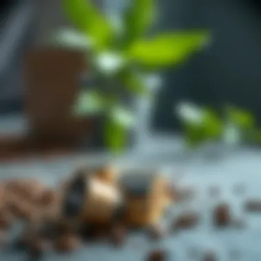 Eco-Friendly Coffee Solutions Sustainable Nescafe capsule packaging reflecting eco-conscious choices