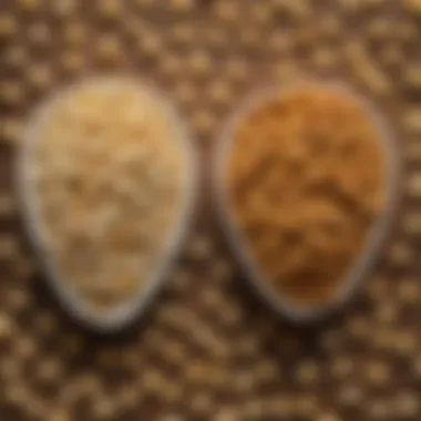 Nutritional Insights of the Pairing A visual representation of the nutritional benefits of popcorn and peanut butter side by side.