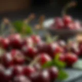 Nutritional Profile of Cherries: An In-Depth Analysis Introduction