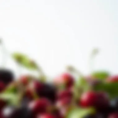 Nutritional Profile of Cherries: An In-Depth Analysis Summary