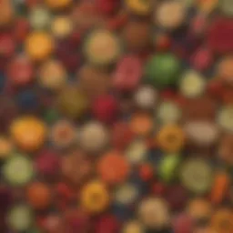 A colorful array of nutrient-dense foods for athletes
