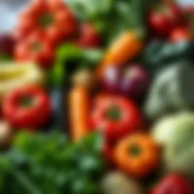 A vibrant assortment of organic vegetables