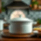 Elegant ceramic oven pot with lid