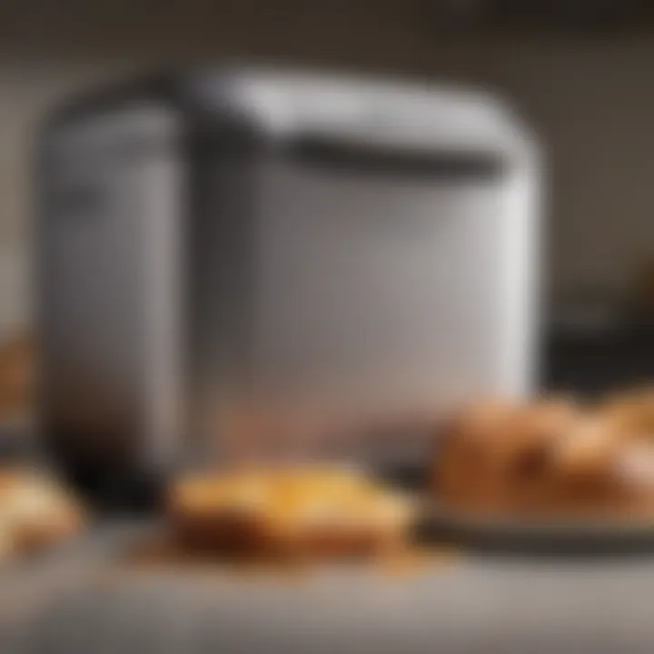 Close-up of the Panasonic bread maker's unique features