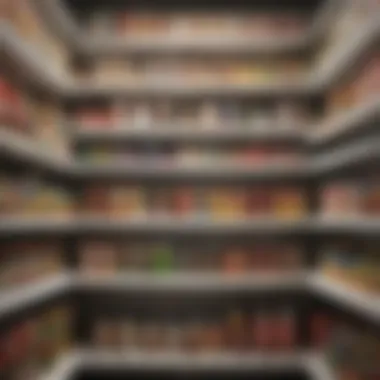 Optimal Canned Goods Storage in Pantry Organized pantry showing optimal storage of canned goods.