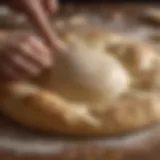 A close-up view of freshly kneaded pizza dough resting