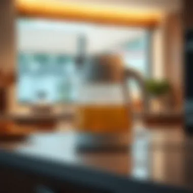 Sleek design of a programmable electric tea kettle on a countertop