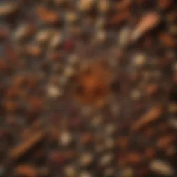 A variety of spices arranged artistically to represent seasoning options for smoked chicken.