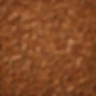 An assortment of different wood chips used for smoking chicken, illustrating the impact on flavor.