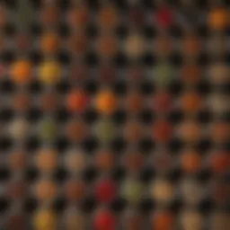 A well-organized stove top spice rack showcasing diverse spices in decorative jars.