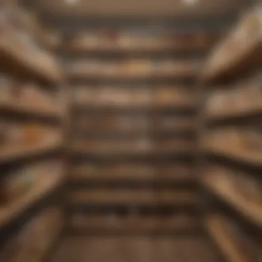 Showcase of a Well-Organized Pantry Well-organized pantry showcasing various food categories