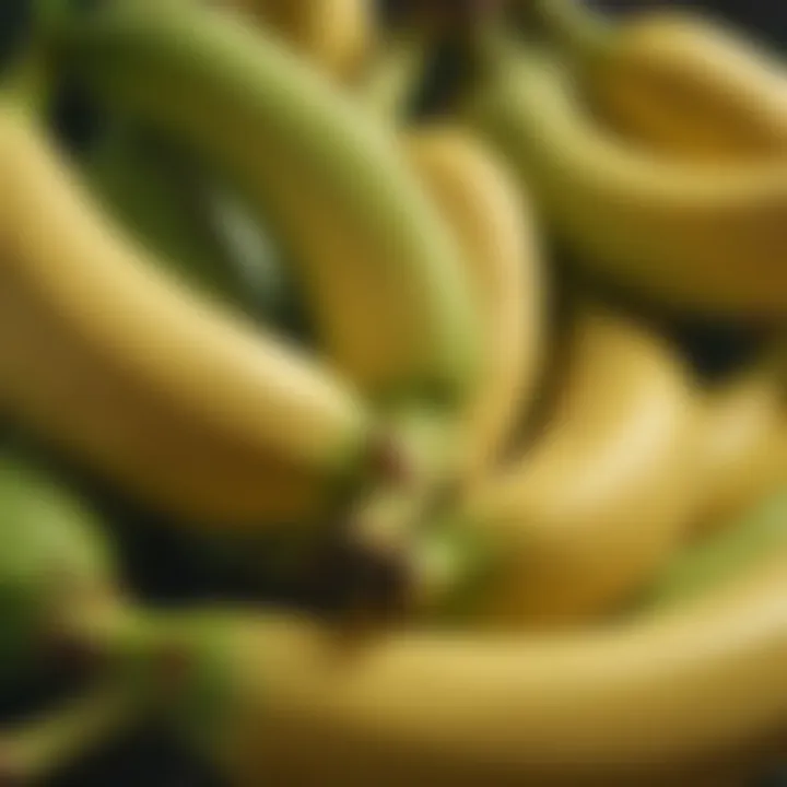 Fresh bananas showcasing vibrant green to yellow transition