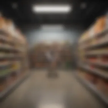 Minimalistic approach to grocery planning with essential items