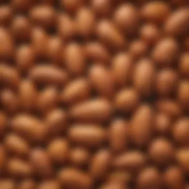 Cultural Significance of Sweet Potatoes Cultural celebration featuring sweet potatoes as the main dish