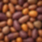 A vibrant display of sweet potatoes in various colors and shapes