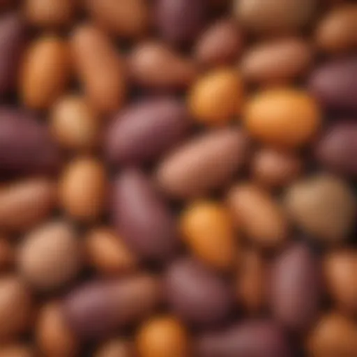 A vibrant display of sweet potatoes in various colors and shapes
