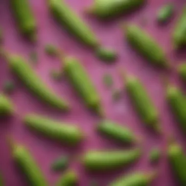 Culinary Applications of Frozen Okra Diverse dishes featuring frozen okra in vibrant colors