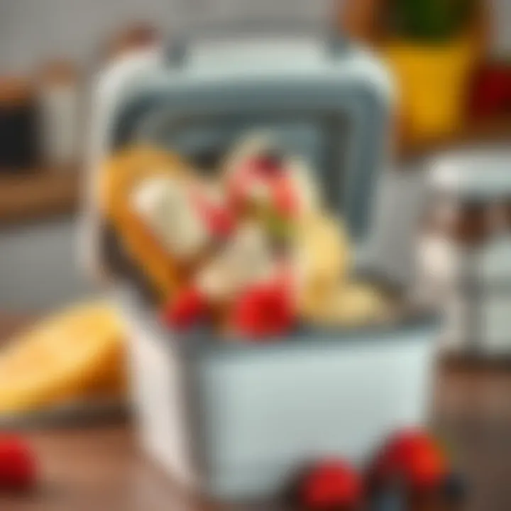 The Comprehensive Guide to Small Portable Ice Cream Freezers Introduction