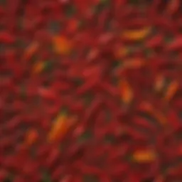 Variety of fresh chili peppers