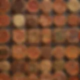A selection of different types of wood suitable for pizza ovens